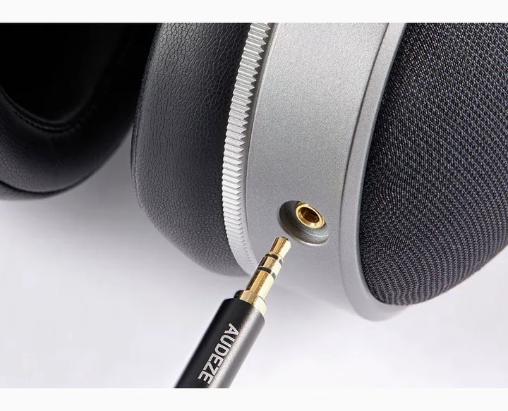 Audeze LCD-S20, hörkåpan på nära håll