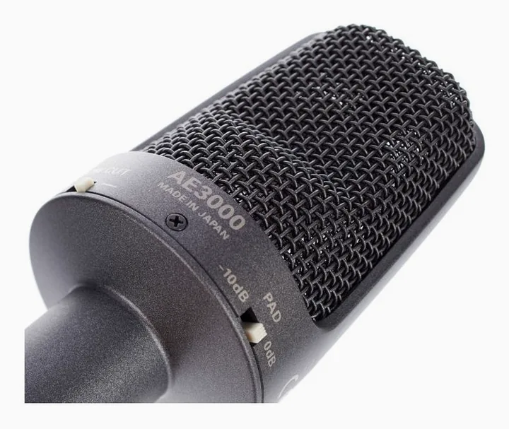 Audio-Technica AE 3000, loggan och ytan