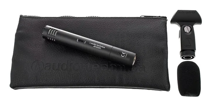 Audio-Technica AT 2031, loggan och ytan