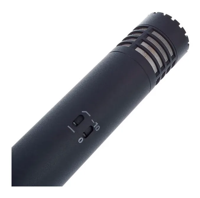Audio-Technica AT 4021, loggan och ytan