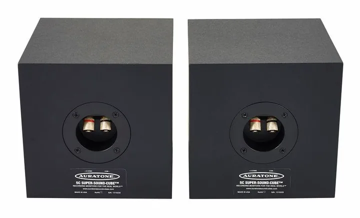 Auratone 5C Super Sound Black, knapparna på bakpanelen
