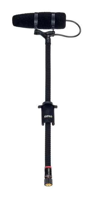DPA 4099-DP-1, hållaren och fästet