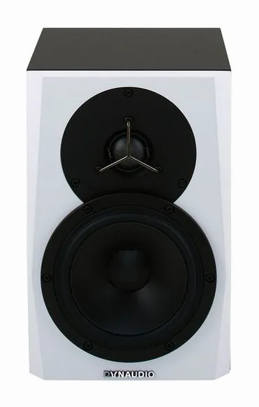 Dynaudio LYD-5, loggan och ytan