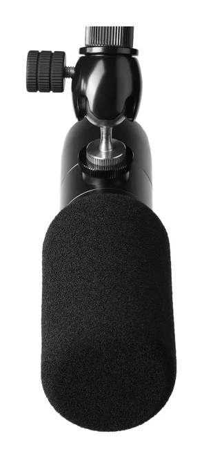Earthworks Audio Ethos Black, hållaren och fästet