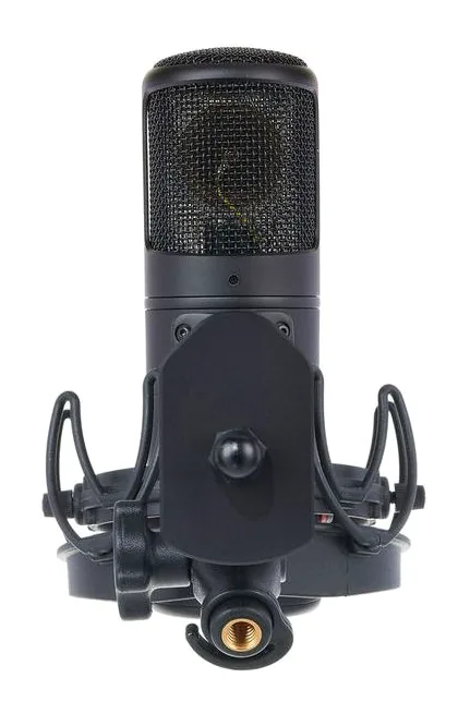 Golden Age Audio Premier GA-8000, gallret framifrån