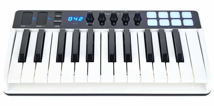 IK Multimedia iRig Keys I/O 25, ingångarna på framsidan