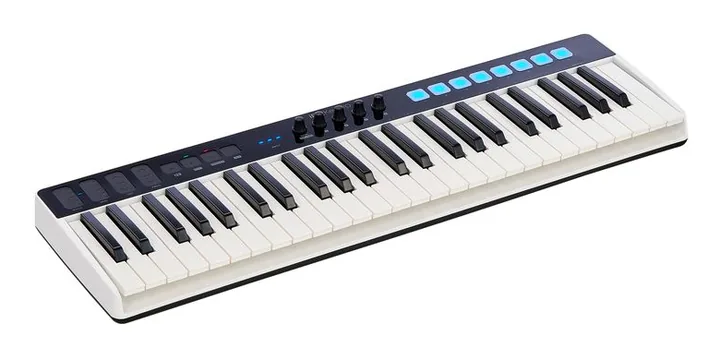 IK Multimedia iRig Keys I/O 49 Bundle, ingångarna på framsidan