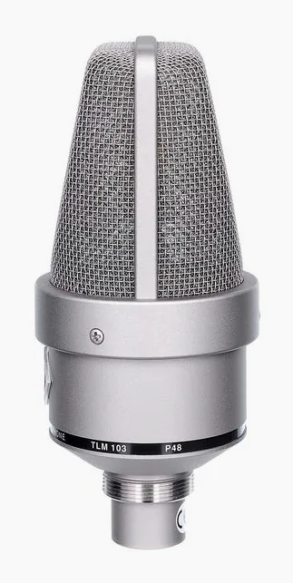 Neumann TLM 103 Stereo Set, huset sett från sidan