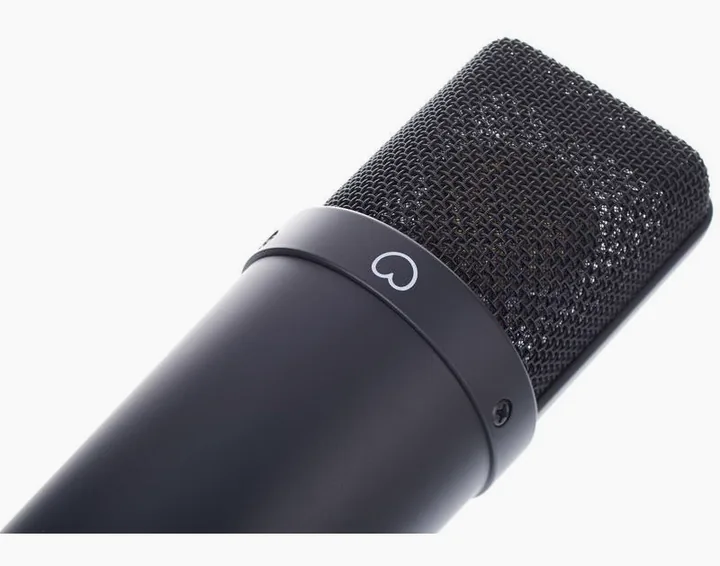 Neumann TLM 193, gallret framifrån