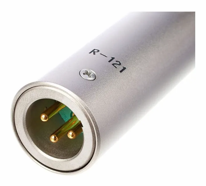 Royer Labs R-121, loggan och ytan