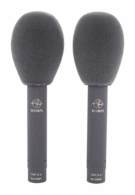 Schoeps Stereo Set CMC 6 + MK 4, loggan och ytan
