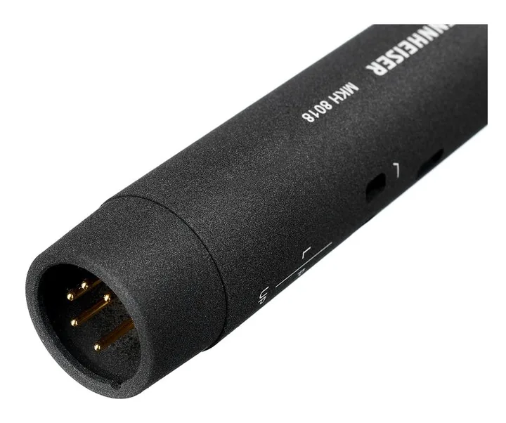 Sennheiser MKH 8018, loggan och ytan