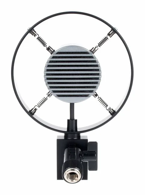 Sontronics Corona, huset sett från sidan